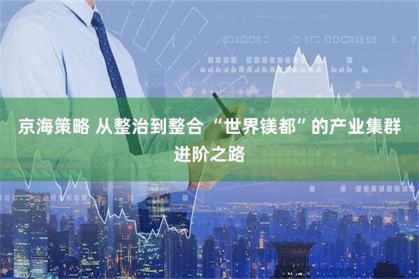 京海策略 从整治到整合 “世界镁都”的产业集群进阶之路