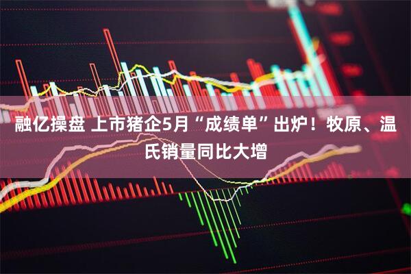 融亿操盘 上市猪企5月“成绩单”出炉！牧原、温氏销量同比大增
