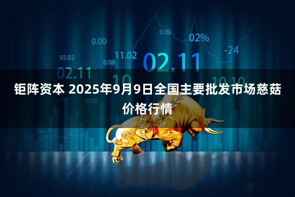 钜阵资本 2025年9月9日全国主要批发市场慈菇价格行情