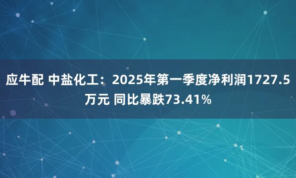 应牛配 中盐化工：2025年第一季度净利润1727.5万元 同比暴跌73.41%