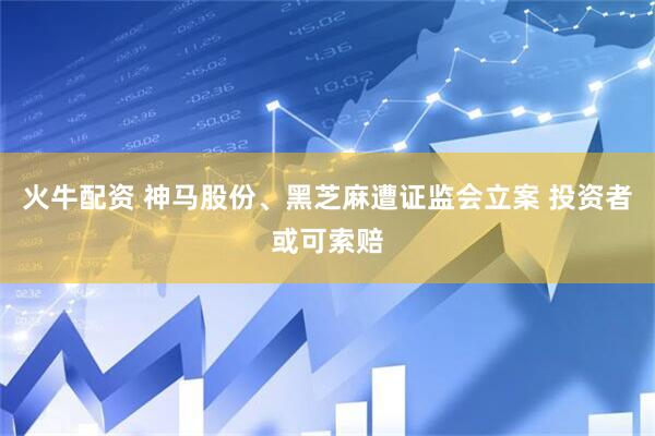 火牛配资 神马股份、黑芝麻遭证监会立案 投资者或可索赔
